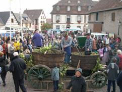 Villages d'Alsace, Marlenheim